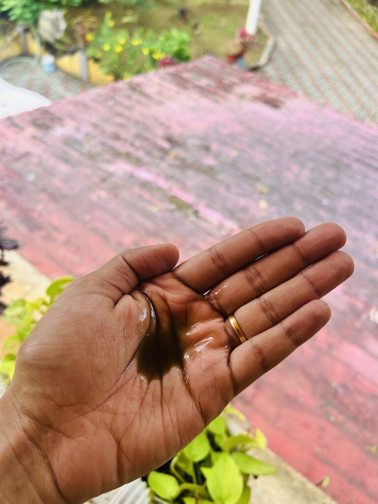 Image #1 from Arunima Menon